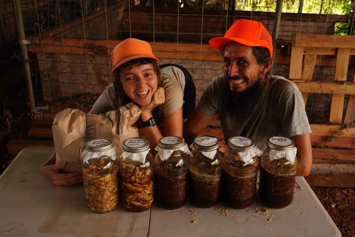 Fermenting jars, Hilo