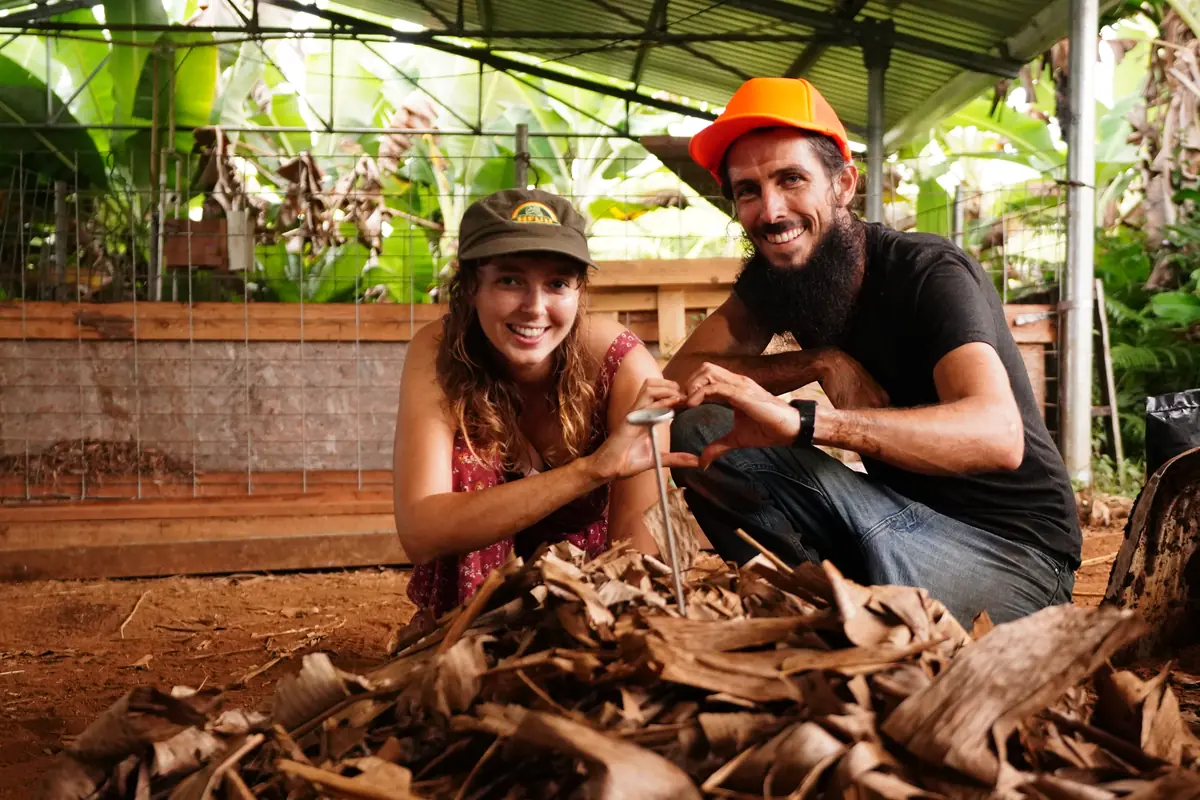 Starting an IMO pile under banana leaves