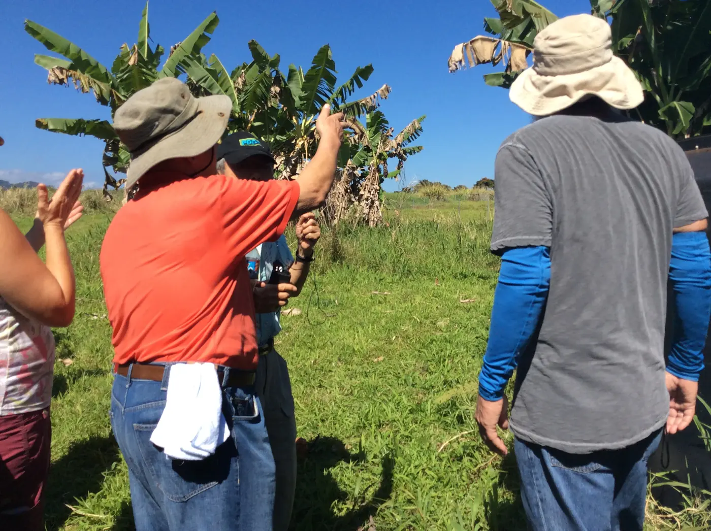 Master Cho pointing across a Hawaiʻi field while farmers watch