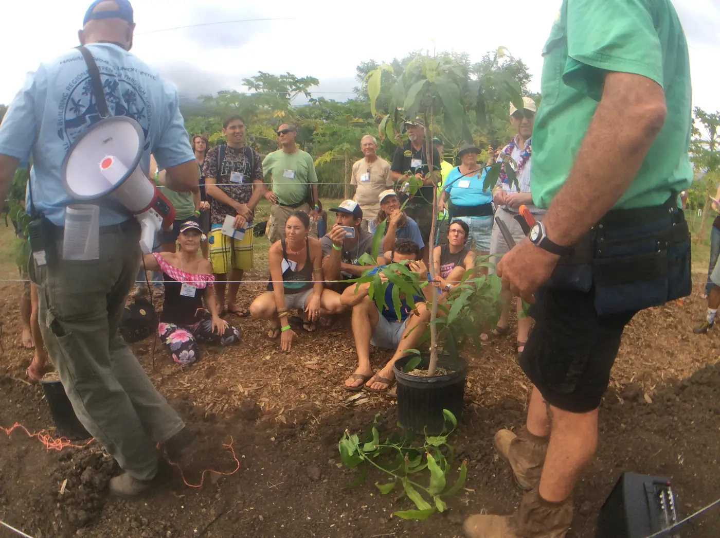 A circle of farmers gathered around a sapling just planted in dark soil