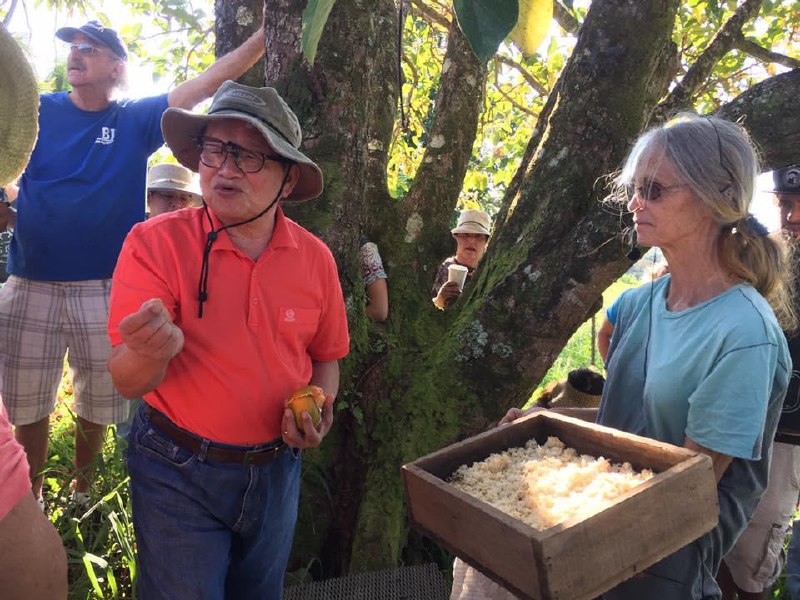 Master Cho teaching koji cultivation